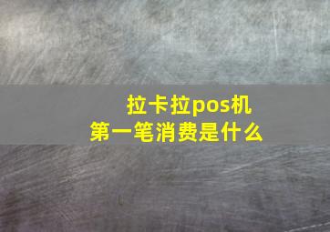 拉卡拉pos机第一笔消费是什么