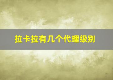 拉卡拉有几个代理级别