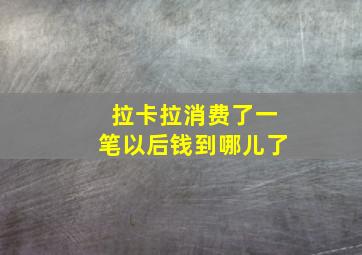 拉卡拉消费了一笔以后钱到哪儿了