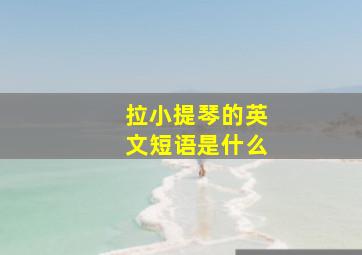 拉小提琴的英文短语是什么