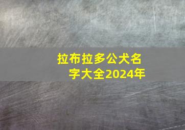 拉布拉多公犬名字大全2024年