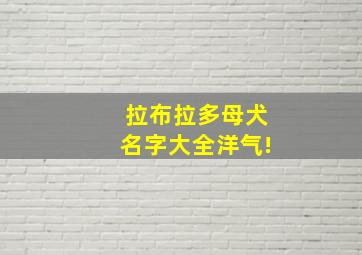 拉布拉多母犬名字大全洋气!