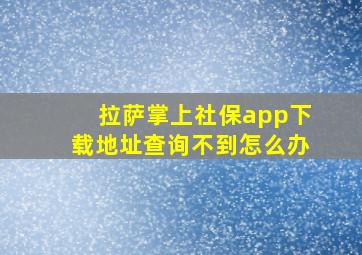 拉萨掌上社保app下载地址查询不到怎么办