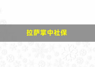 拉萨掌中社保