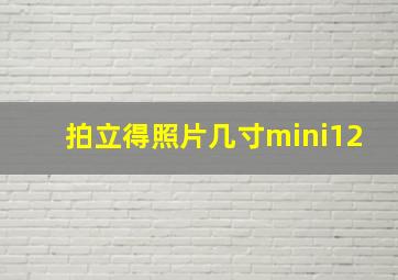 拍立得照片几寸mini12