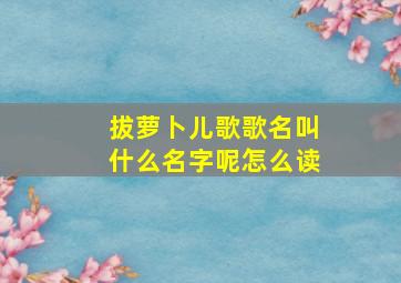 拔萝卜儿歌歌名叫什么名字呢怎么读