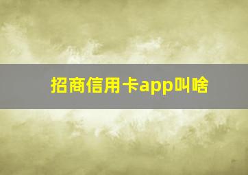 招商信用卡app叫啥