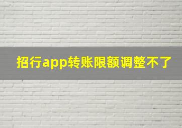 招行app转账限额调整不了