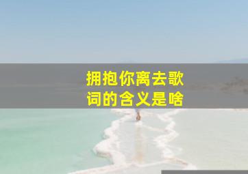 拥抱你离去歌词的含义是啥