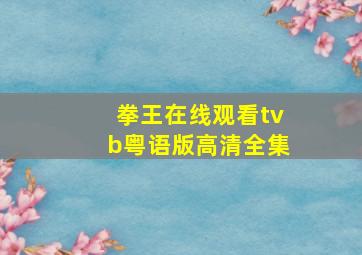 拳王在线观看tvb粤语版高清全集