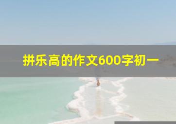 拼乐高的作文600字初一