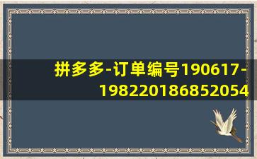 拼多多-订单编号190617-198220186852054