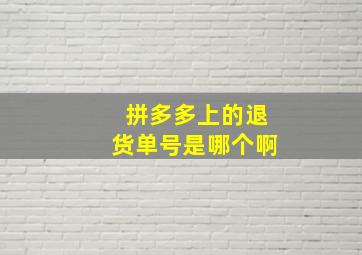 拼多多上的退货单号是哪个啊