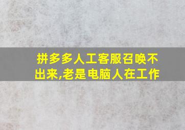 拼多多人工客服召唤不出来,老是电脑人在工作