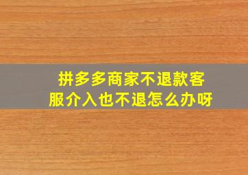 拼多多商家不退款客服介入也不退怎么办呀