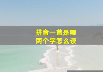 拼音一首是哪两个字怎么读