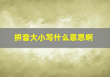 拼音大小写什么意思啊