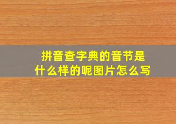 拼音查字典的音节是什么样的呢图片怎么写