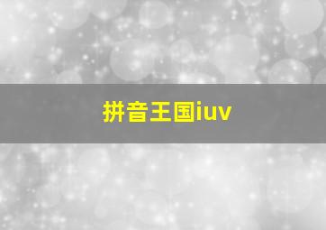 拼音王国iuv