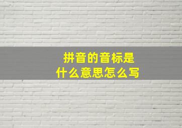 拼音的音标是什么意思怎么写