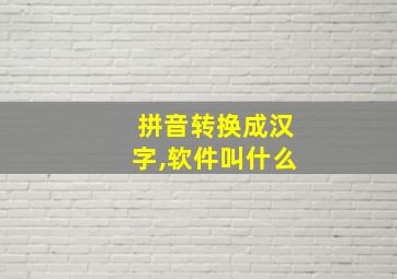 拼音转换成汉字,软件叫什么