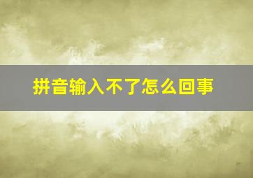 拼音输入不了怎么回事