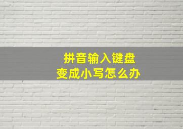 拼音输入键盘变成小写怎么办