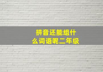 拼音还能组什么词语呢二年级