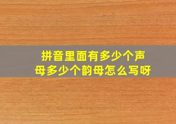 拼音里面有多少个声母多少个韵母怎么写呀