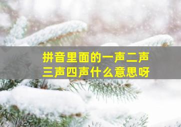 拼音里面的一声二声三声四声什么意思呀