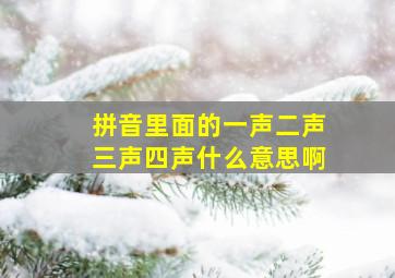 拼音里面的一声二声三声四声什么意思啊