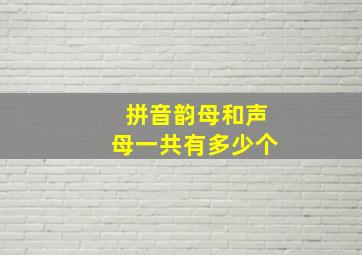 拼音韵母和声母一共有多少个