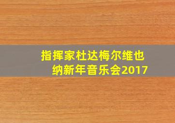 指挥家杜达梅尔维也纳新年音乐会2017