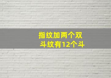 指纹加两个双斗纹有12个斗