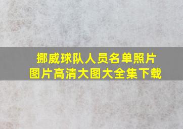 挪威球队人员名单照片图片高清大图大全集下载