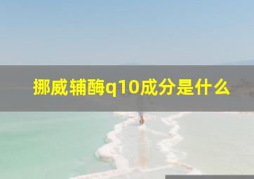 挪威辅酶q10成分是什么