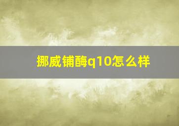 挪威铺酶q10怎么样