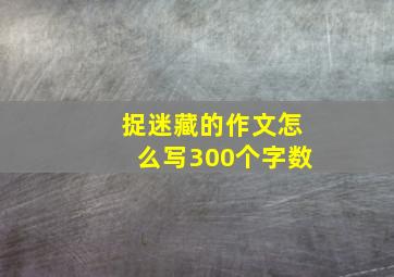 捉迷藏的作文怎么写300个字数