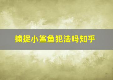 捕捉小鲨鱼犯法吗知乎