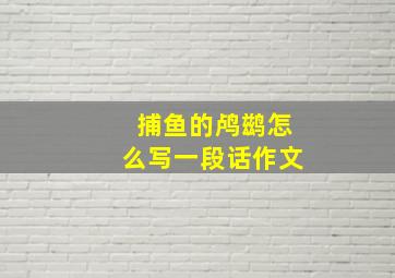 捕鱼的鸬鹚怎么写一段话作文