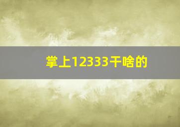 掌上12333干啥的