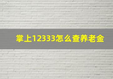 掌上12333怎么查养老金