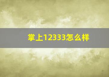 掌上12333怎么样