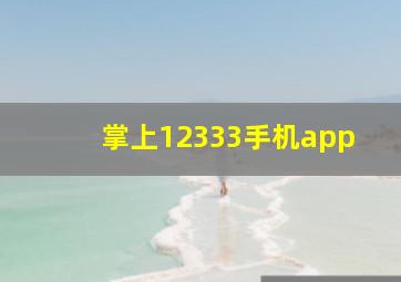 掌上12333手机app