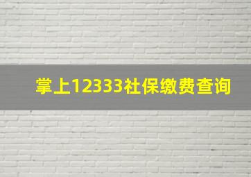 掌上12333社保缴费查询