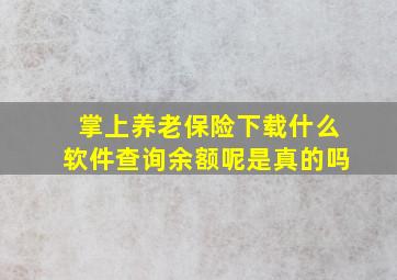 掌上养老保险下载什么软件查询余额呢是真的吗