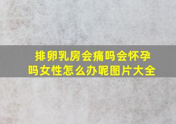 排卵乳房会痛吗会怀孕吗女性怎么办呢图片大全