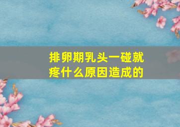 排卵期乳头一碰就疼什么原因造成的