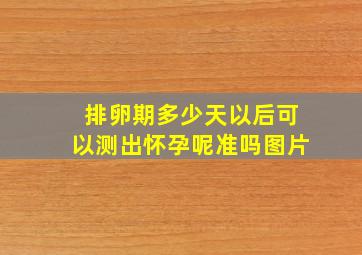 排卵期多少天以后可以测出怀孕呢准吗图片