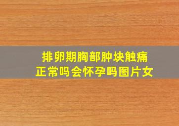 排卵期胸部肿块触痛正常吗会怀孕吗图片女